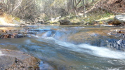 photo thumbnail #2