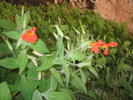 Featured Full Photo