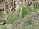 photo thumbnail #8