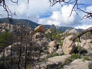 photo thumbnail #8