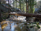 photo thumbnail #9