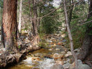photo thumbnail #10