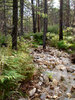 photo thumbnail #13