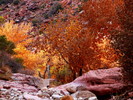 photo thumbnail #12