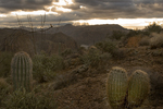 photo thumbnail #5