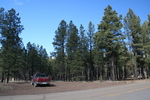 photo thumbnail #2