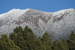 photo thumbnail #8