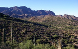 photo thumbnail #3