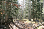 2006-12-01 :2: Inner Basin Trail #29 :: af2w131f