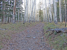 photo thumbnail #13