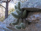 photo thumbnail #1