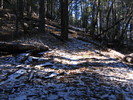 photo thumbnail #7