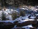 photo thumbnail #8