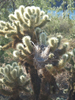 photo thumbnail #1