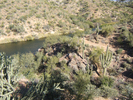 photo thumbnail #6