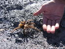 photo thumbnail #4