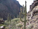 photo thumbnail #6