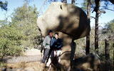photo thumbnail #8