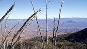 photo thumbnail #13