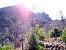 photo thumbnail #15