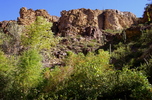 photo thumbnail #4