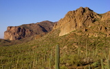 photo thumbnail #7