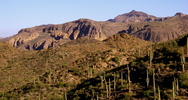 photo thumbnail #10