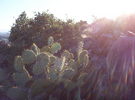photo thumbnail #10