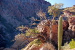 photo thumbnail #10