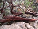 photo thumbnail #7
