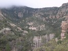 photo thumbnail #9
