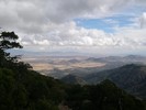 photo thumbnail #12