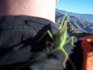 photo thumbnail #7