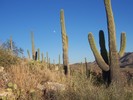 photo thumbnail #8