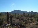 photo thumbnail #2