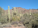 photo thumbnail #4