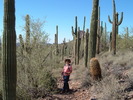 photo thumbnail #5