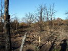 photo thumbnail #5