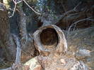 photo thumbnail #3