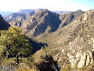 photo thumbnail #5