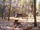 photo thumbnail #9