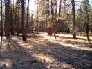 photo thumbnail #10