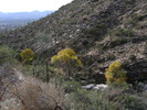 photo thumbnail #9
