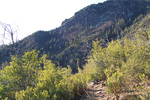 photo thumbnail #3