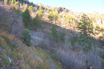 photo thumbnail #7