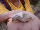 photo thumbnail #3