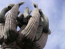 photo thumbnail #8