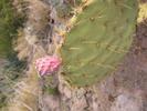 photo thumbnail #9
