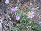photo thumbnail #14