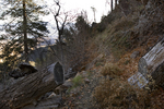 photo thumbnail #2